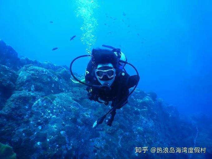 狗狗物品记忆卡